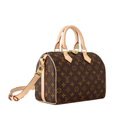 LOUIS VUITTON SPEEDY 25