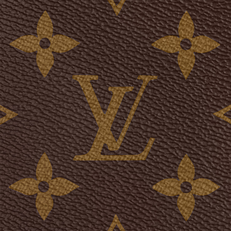 LOUIS VUITTON SPEEDY 25